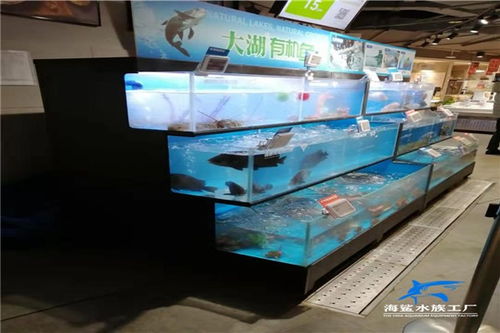株洲海鮮缸定做價(jià)格 定做 制作 設(shè)計(jì) 安裝